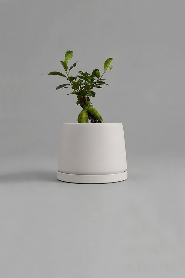 Dekoratif Beton Saksı V-114