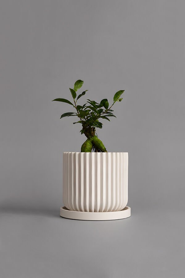Dekoratif Beton Saksı V-110