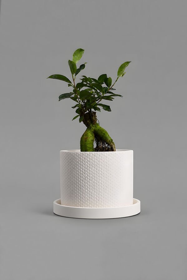 Dekoratif Beton Saksı V-123