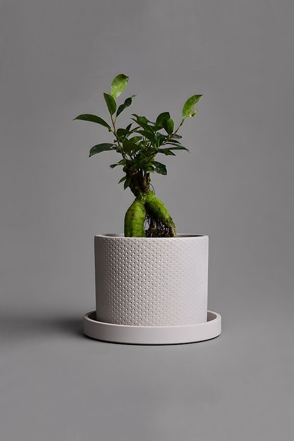 Dekoratif Beton Saksı V-123