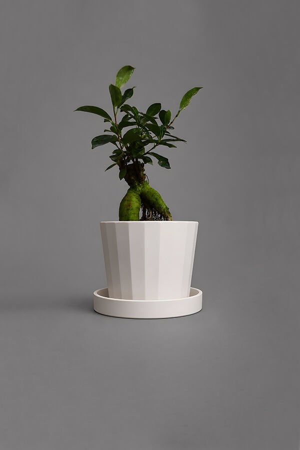 Dekoratif Beton Saksı V-125