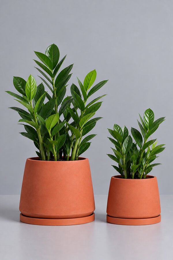 Dekoratif Beton Saksı V-129 - 2'LI