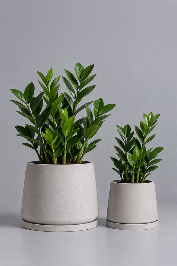 Dekoratif Beton Saksı V-129 - 2'LI